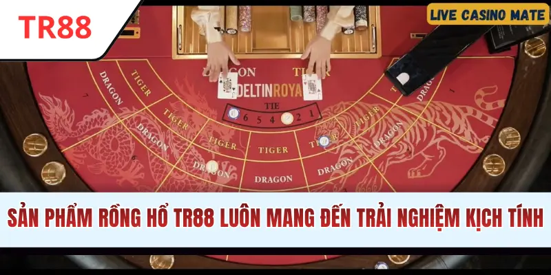 Sản phẩm Rồng Hổ TR88 mang đến trải nghiệm kịch tính